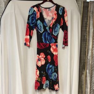 Chic Long Sleeve Floral Dress in Black with Blue and Red Roses